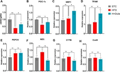 Lipidomic Analysis Reveals the Protection Mechanism of GLP-1 Analogue Dulaglutide on High-Fat Diet-Induced Chronic Kidney Disease in Mice